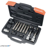 13-delni profesionalni komplet za alternator in jermenico