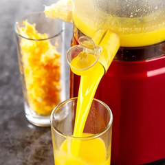 Sokovnik za hladno stiskanje | 300W