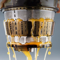 Sokovnik za hladno stiskanje | 300W